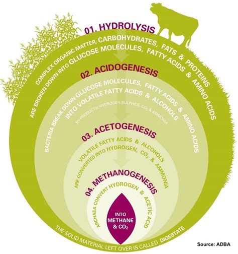 Biogas Production - Organic Waste to Energy - Envitech International