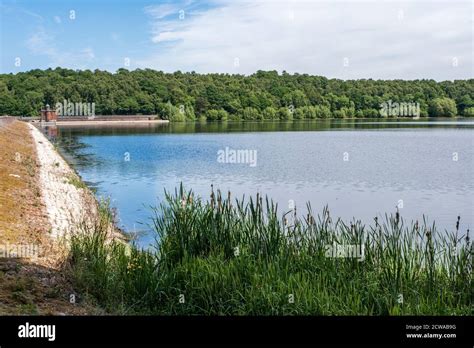 Swithland Reservoir is a reservoir in the English county of ...