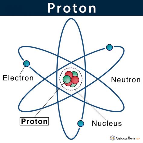 Proton: Definition, Characteristics, & Location with Example