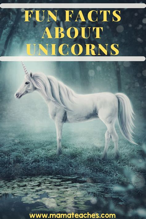 Fun Facts About Unicorns - Mama Teaches