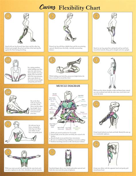 7 Tips to Get the Greatest Benefits From Stretching | Stretches ...