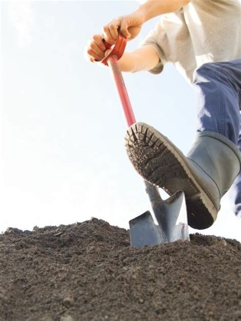 Recommended Digging Tools For Rocky Soil - Days in Garden