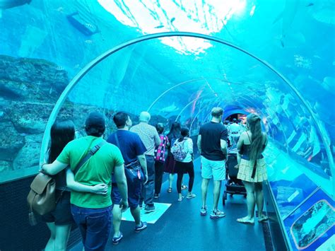 Things to Do in Sentosa Island: 20 Must-Try Activities