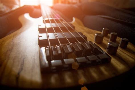 Bass Bridge Types: Exploring Sound Options