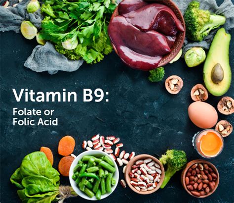 What You Need to Know About Folate (Vitamin B9) - Exercise Inc