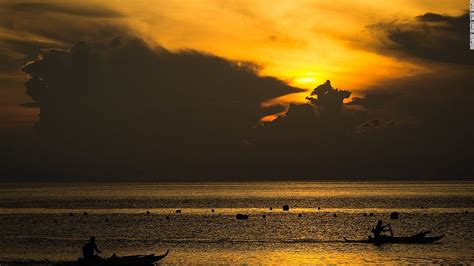 Swimming with whale sharks in the Philippines - CNN.com