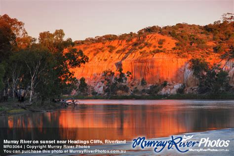 Murray River on sunset near Headings Cliffs, Riverland