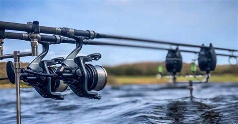 Shimano Baitrunner Reel Reviews - Which Baitrunner is Best?