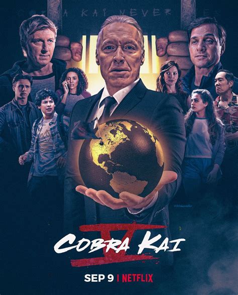 Cobra Kai season 5 poster in 2023 | Karate kid cobra kai, Cobra kai dojo, Cobra kai wallpaper