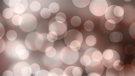 Bokeh Background in light tan rose Free Photo Download | FreeImages