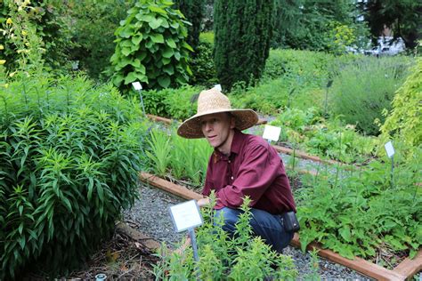 A magical space: UW's Medicinal Herb Garden | In Our Nature