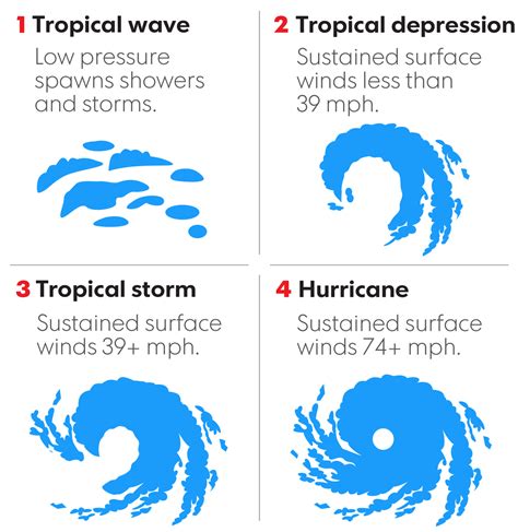 A tropical wave can grow into a tropical depression, tropical storm... | Scoopnest