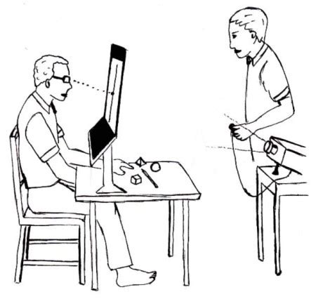 Severed Corpus Callosum | Split Brain Experiments & Studies | Study.com