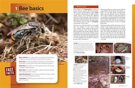 The Australian Native Bee Book: Keeping Stingless Bee Hives For Pets ...