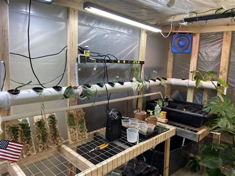 DIY - New to reddit (I know) and wanted to share my DIY aquaponics system in my garage ...