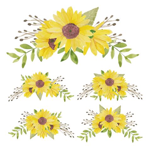 Sunflower Leaves Svg