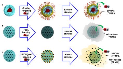 IJMS | Free Full-Text | Functional Mesoporous Silica Nanocomposites: Biomedical Applications and ...