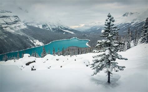 landscape, Nature, Winter, Lake, Snow, Mountain, Forest, Turquoise ...