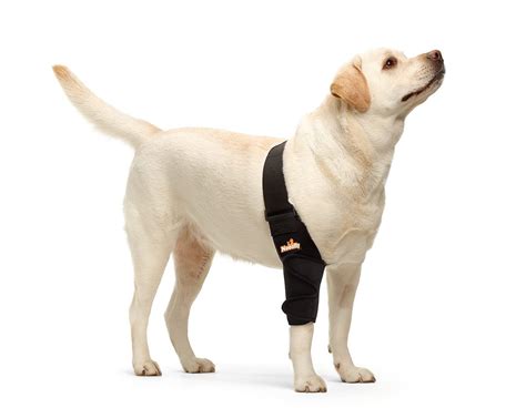 NeoAlly Dog Elbow Brace Protector Pads (Right Leg, Extra Large) | Nellis Auction