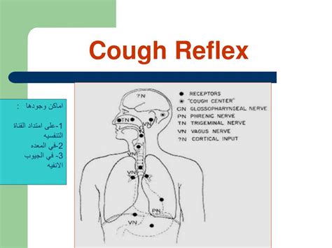 PPT - TREATMENT OF COUGH PowerPoint Presentation, free download - ID:421973