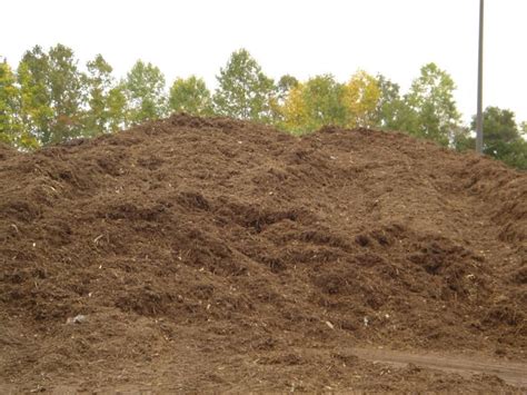 Mulch Pile--one of the varieties of mulch available from City of Raleigh Yard Waste Products ...