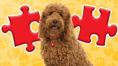 Waffle the Wonder Dog - CBeebies - BBC