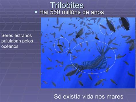 trilobites | PPT