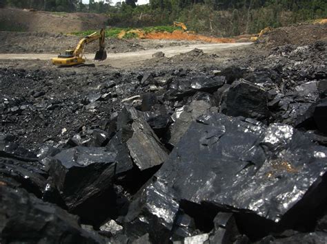 Govt boosts annual coal mining target to 695m tonnes - Economy - The ...