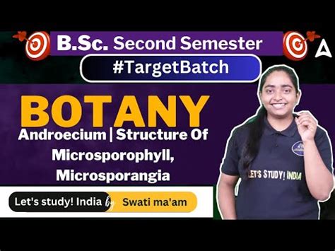 Androecium | Structure Of Microsporophyll, Microsporangia | B.Sc ...