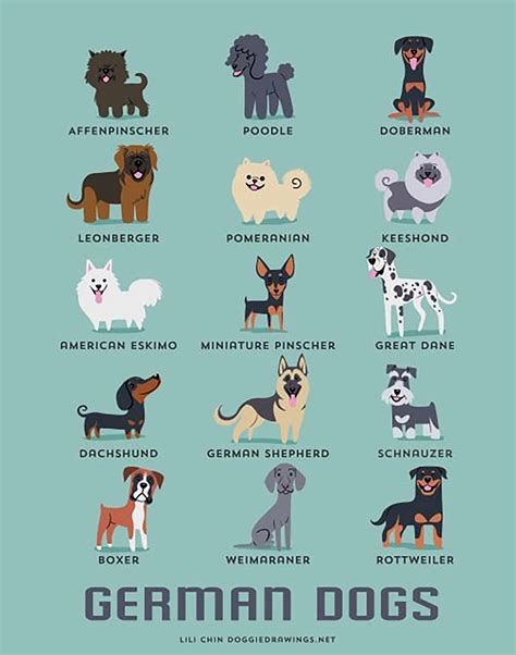 These Illustrations Show The Origins Of Dog Breeds In The Cutest Way Possible