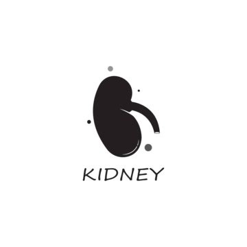 Kidney Logo Vector Symbol Concept Kidneys Vector, Symbol, Concept, Kidneys PNG and Vector with ...