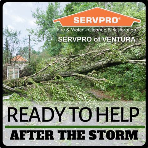 Storm Damage Cleanup and Restoration Storm and flood damage require specialized restoration ...