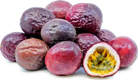 Purple Passionfruit Information and Facts