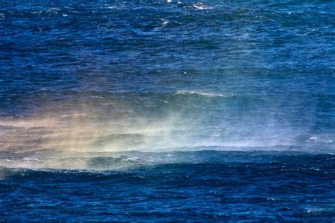 Premium Photo | Rainbow on the sea during the bora wind on adriatic sea ...