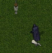 uoVMGXF.gif | UO OUTLANDS - An Ultima Online Shard