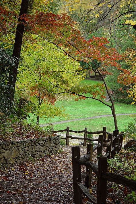 Botanical Gardens at Asheville - Alchetron, the free social encyclopedia