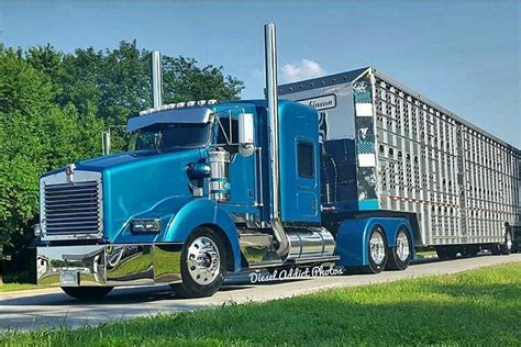 Semitrckn — Kenworth custom T800 bull hauler