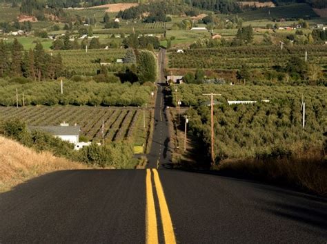 15 Delicious Hood River Wineries to Visit ASAP • Small Town Washington