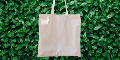 Cons of Reusable Bags More People Need to Think About | Reader's Digest