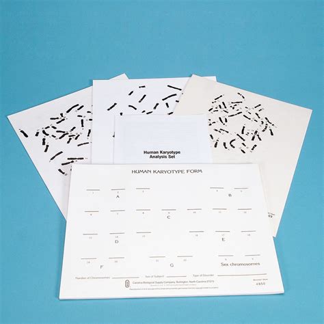 Human Karyotype Analysis Set | Carolina.com