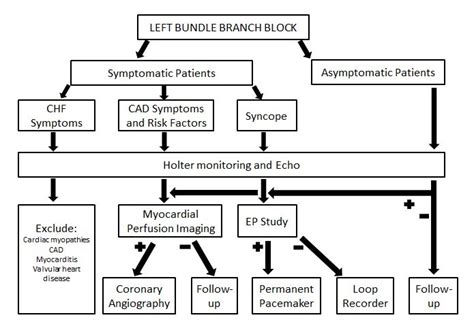 Left bundle branch block management strategy - wikidoc