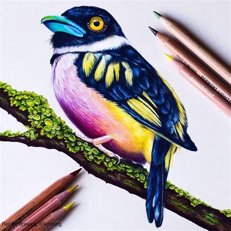 Design Stack: A Blog about Art, Design and Architecture: Animal Pencil Drawings in all Colors