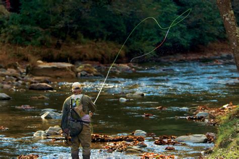 Why East Tennessee Rivers and Lakes are Perfect for Fly Fishing