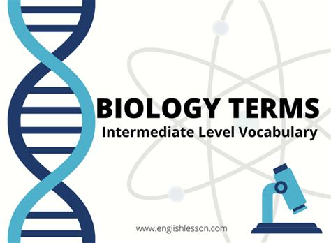 BIOLOGY TERMS | Intermediate Level Vocabulary - ENGLISH LESSON