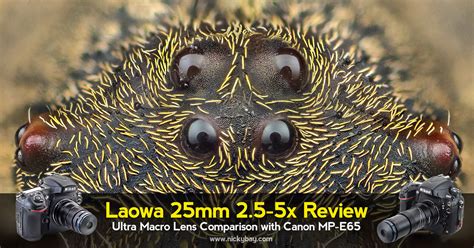 Laowa 25mm f/2.8 2.5-5X Review: Ultra Macro Lens Comparison with Canon MPE65 - Macro Photography ...