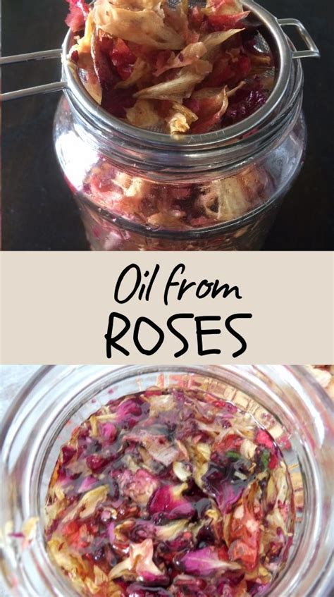 Making rose infused oil is a simple and pleasant process that is easy to do at home. Its aroma ...