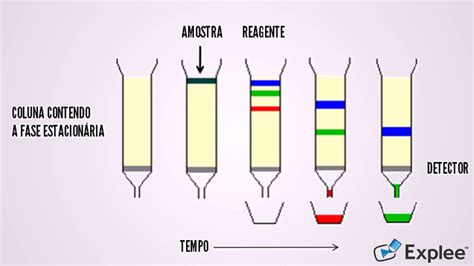 Cromatografia Líquida De Alta Eficiência - EDULEARN