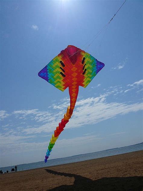 Large Kites - You Mean Big Or Positively Gigantic?