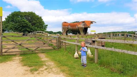 Cotswold Farm Park Fun - The Family Ticket Review