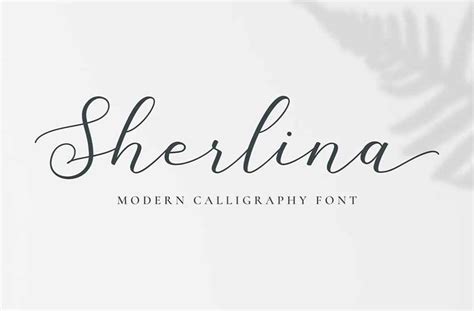 40 Best Curvy Fonts (Curved Letter Fonts) | Envato Tuts+